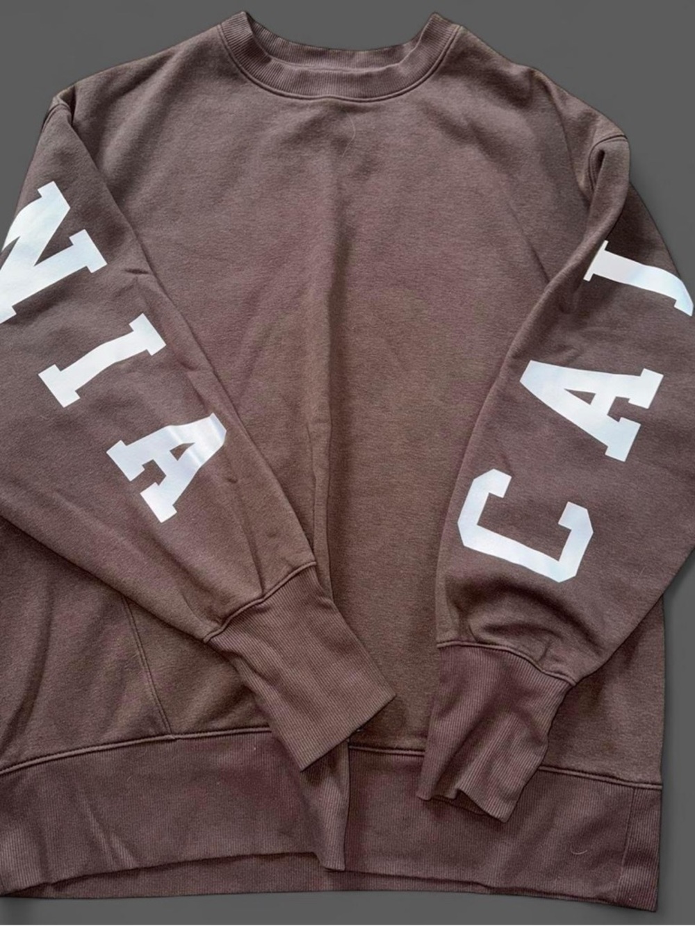 Brown Graphic Sleeve Sweatshirt with White Lettering
